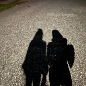 Meet your Posher, Addison